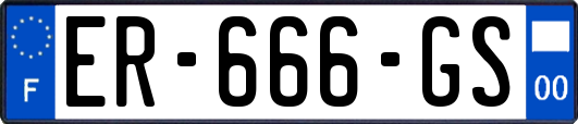 ER-666-GS