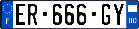 ER-666-GY