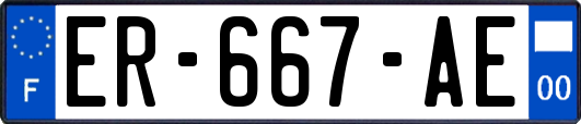 ER-667-AE