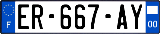 ER-667-AY