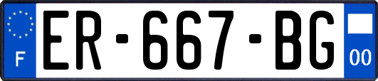 ER-667-BG