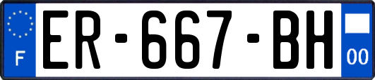 ER-667-BH