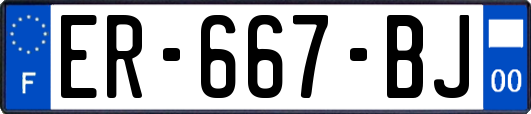 ER-667-BJ