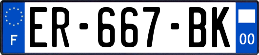 ER-667-BK