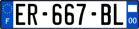 ER-667-BL