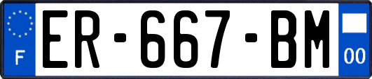 ER-667-BM