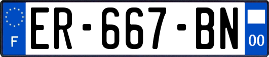 ER-667-BN