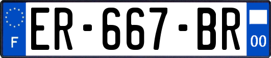 ER-667-BR