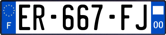ER-667-FJ