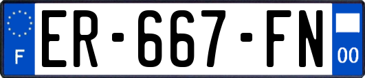 ER-667-FN