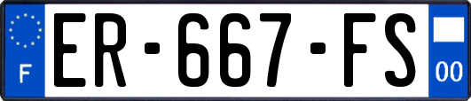 ER-667-FS