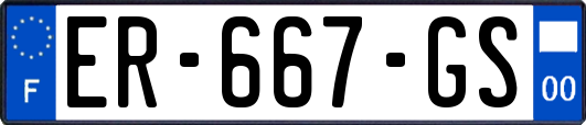 ER-667-GS