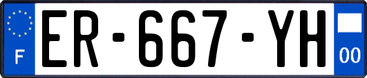 ER-667-YH