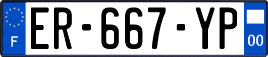 ER-667-YP