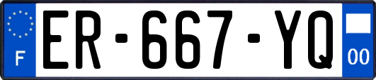 ER-667-YQ