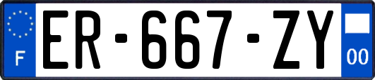 ER-667-ZY