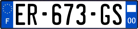 ER-673-GS