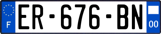 ER-676-BN