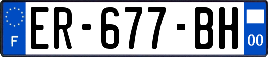 ER-677-BH