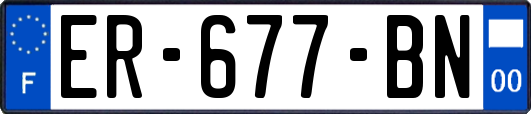 ER-677-BN