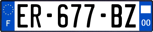ER-677-BZ