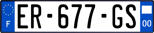 ER-677-GS