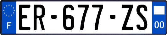 ER-677-ZS