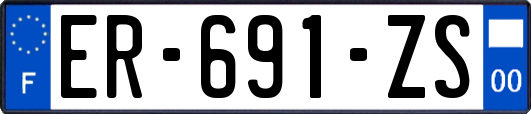 ER-691-ZS