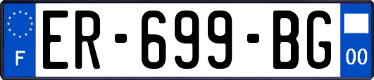 ER-699-BG