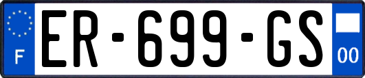ER-699-GS