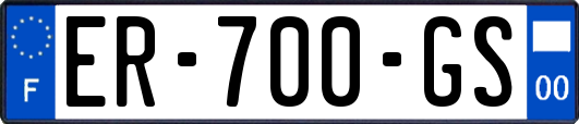ER-700-GS