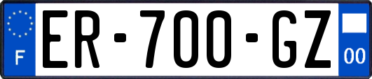 ER-700-GZ
