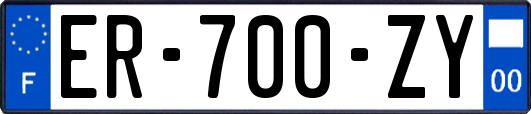 ER-700-ZY