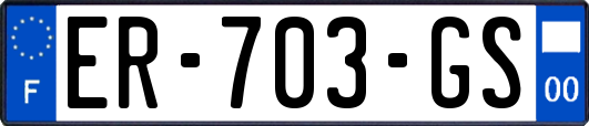 ER-703-GS