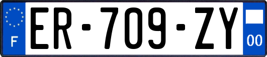 ER-709-ZY