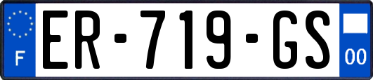 ER-719-GS