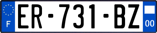 ER-731-BZ