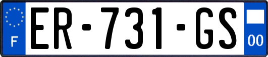 ER-731-GS