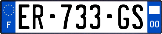 ER-733-GS