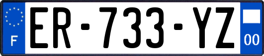 ER-733-YZ