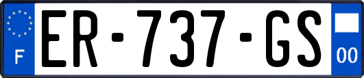 ER-737-GS
