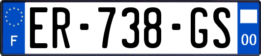 ER-738-GS
