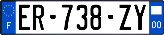 ER-738-ZY