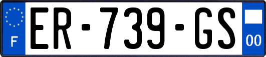 ER-739-GS