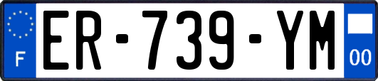 ER-739-YM