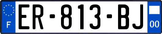 ER-813-BJ