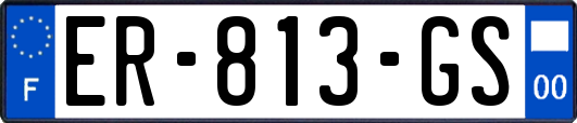 ER-813-GS