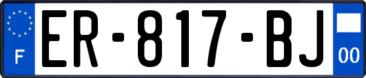 ER-817-BJ