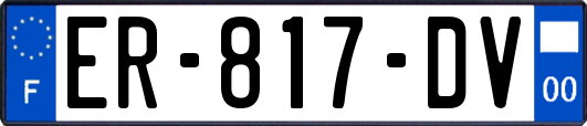 ER-817-DV