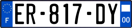 ER-817-DY